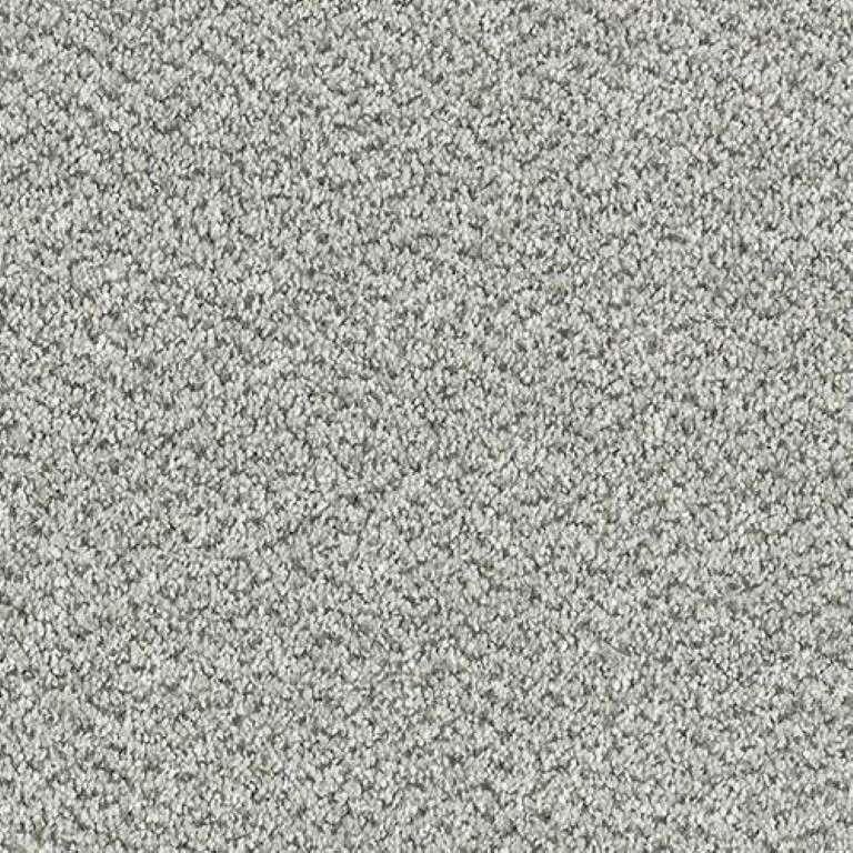 Abingdon Stainfree Tweed Silver Shadow Carpet