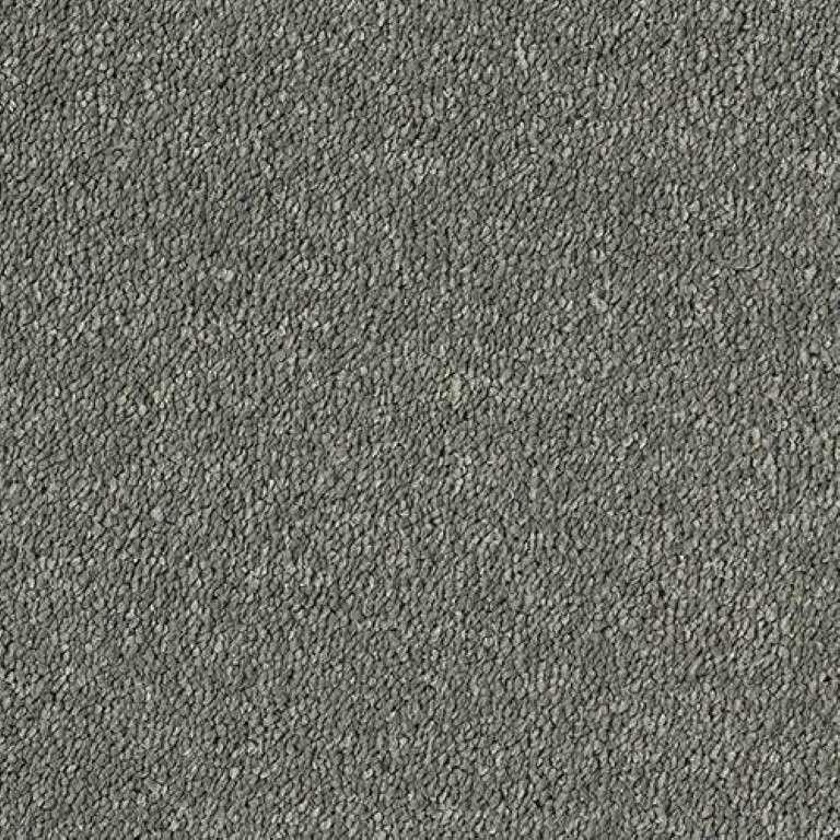 Abingdon Stainfree Sophisticat Titanium Carpet