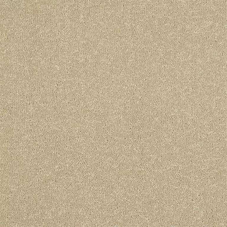 Abingdon Stainfree Ultra 11 Antique Cream Carpet