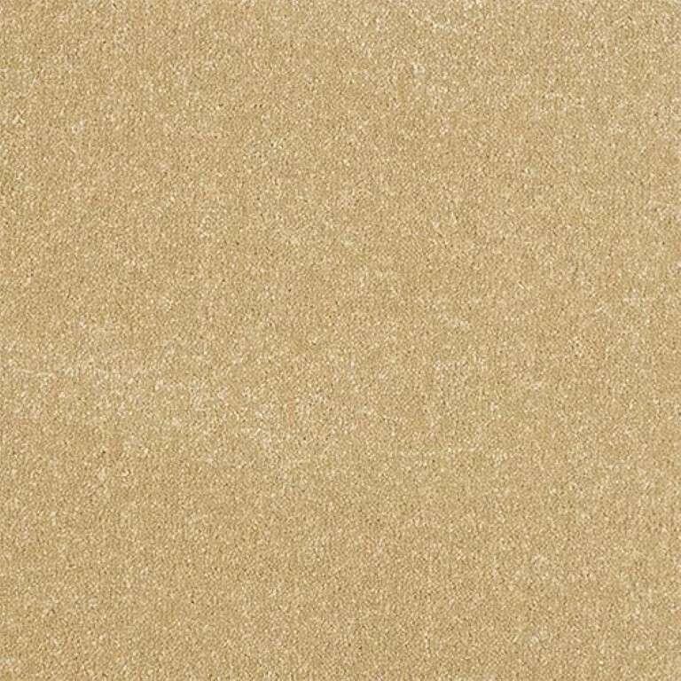 Abingdon Stainfree Ultra 27 Hampton Carpet
