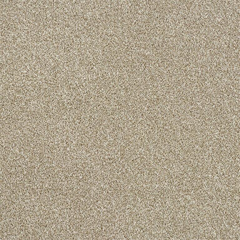 Abingdon Stainfree Rustique Ultra 18 Driftwood Carpet