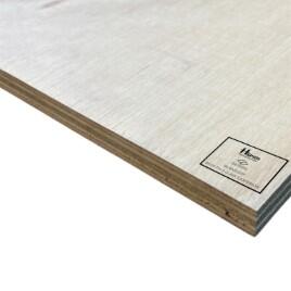 Hanson Plywood Sp101 18mm