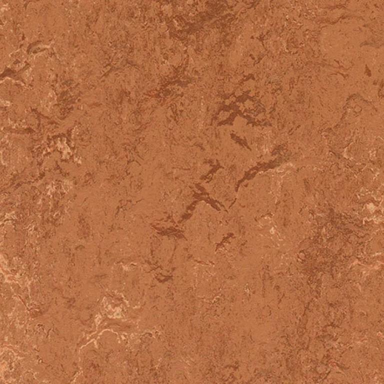 Forbo Marmoleum Real 2.5mm 2767 Rust Commercial Flooring