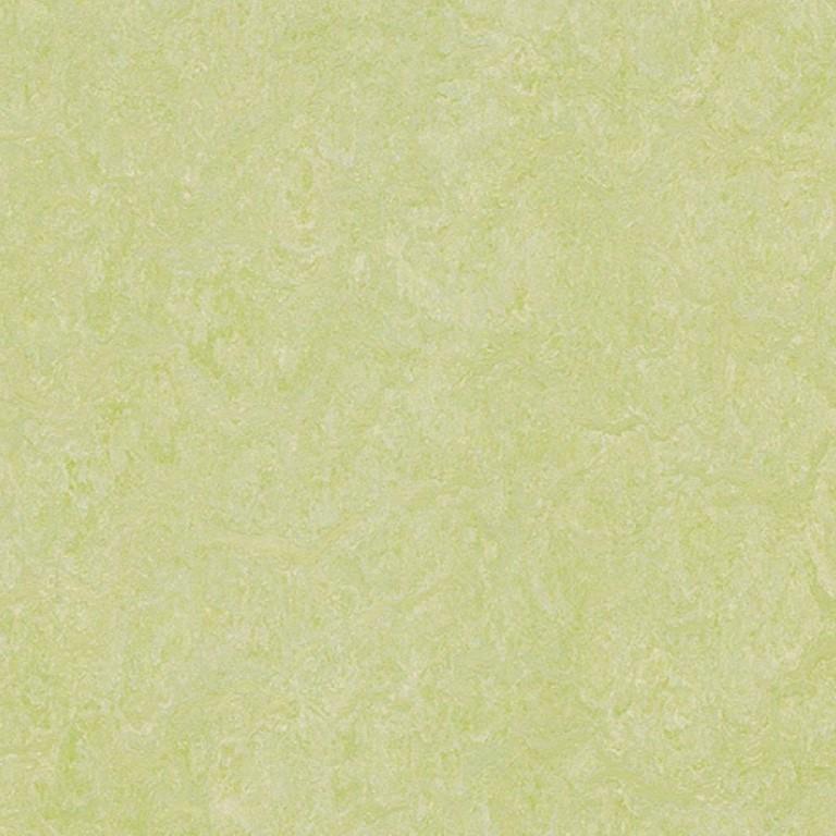Forbo Marmoleum Real 2.5mm 3881 Green Wellness Commercial Flooring