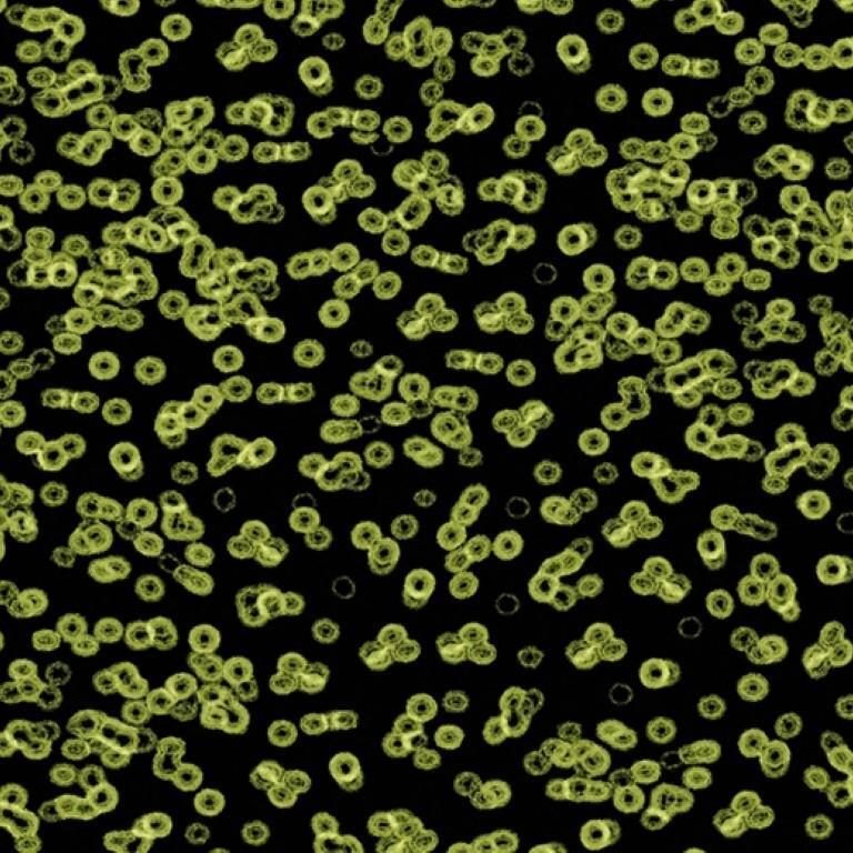 Forbo Flotex Sottsass Bacteria 990103 Commercial Flooring