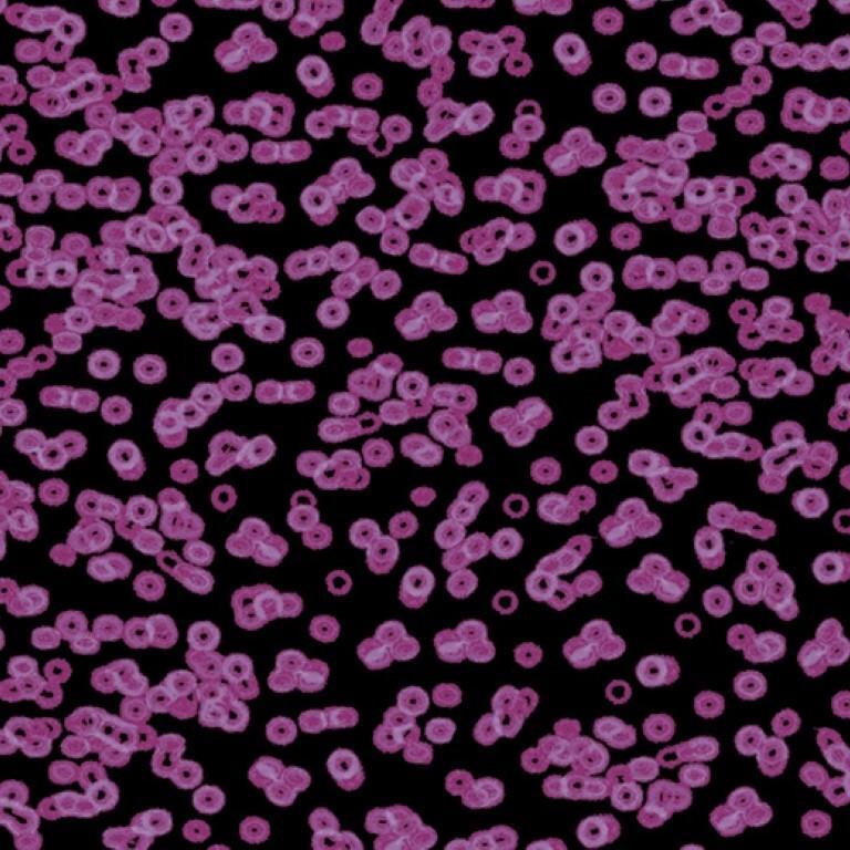 Forbo Flotex Sottsass Bacteria 990104 Commercial Flooring