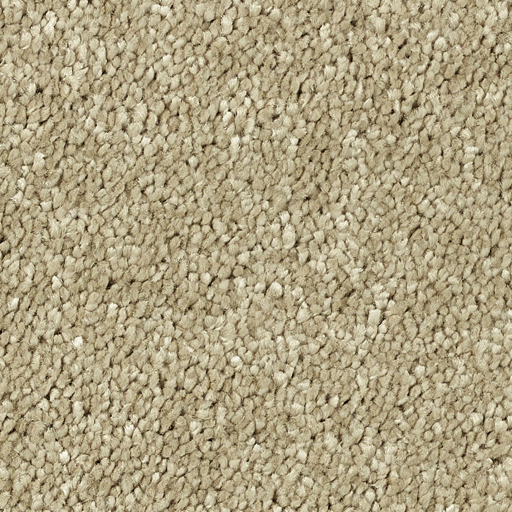Stainfree Reflections Latte 08 Carpet