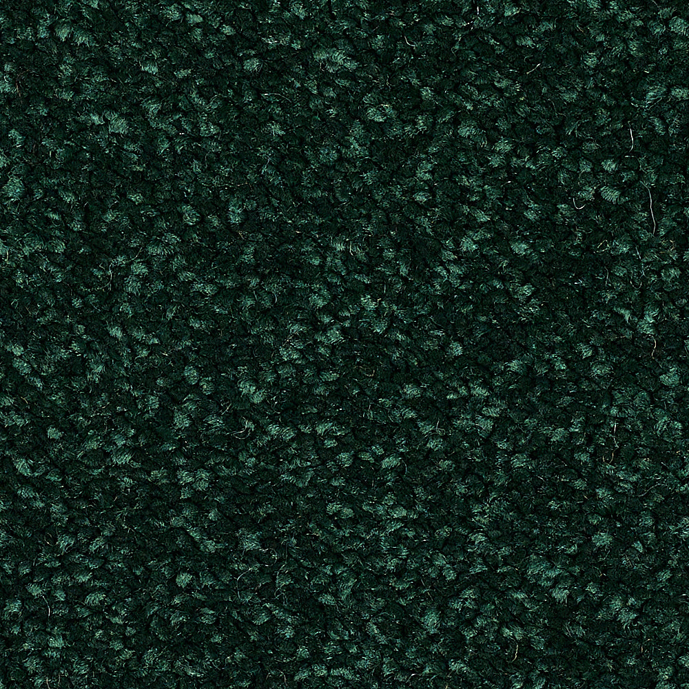 Stainfree Reflections Fir Green 20 Carpet