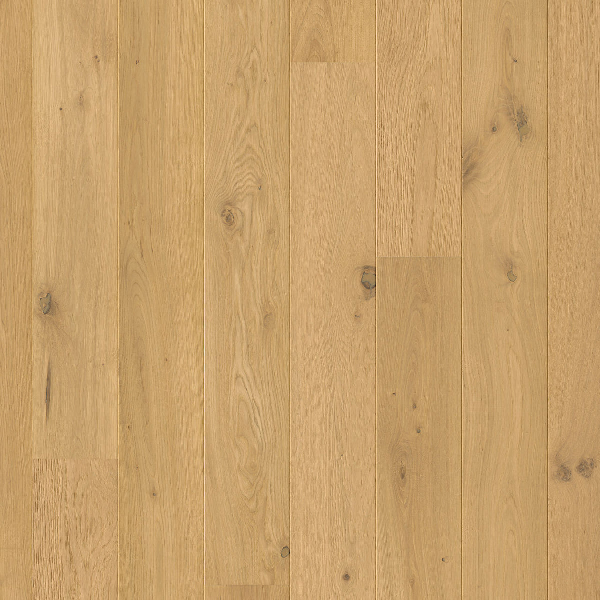 Quick-Step Amato Pure Oak Extra Matt AMT3100 13mm Engineered Wood Flooring