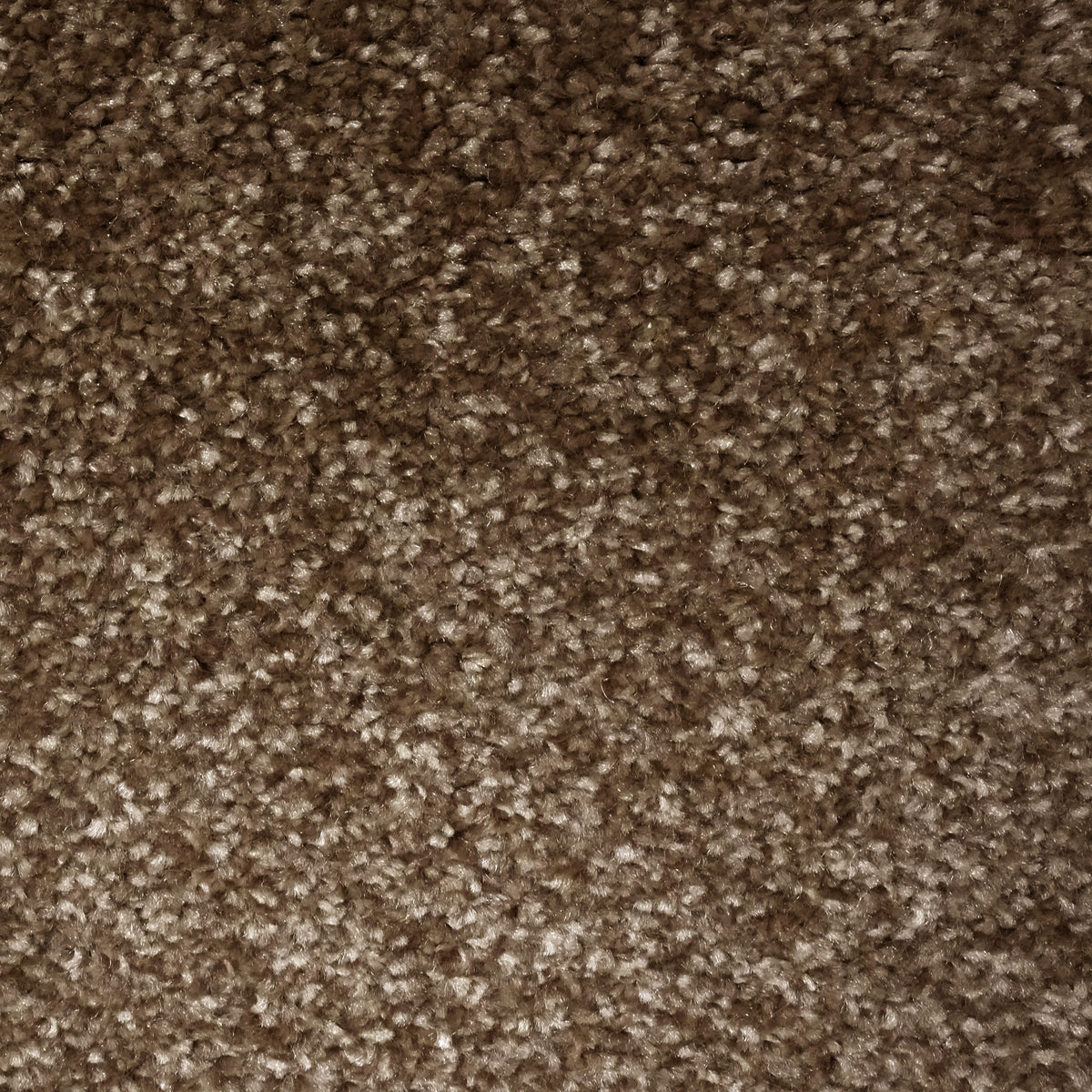 Aries Camel 795 Carpet