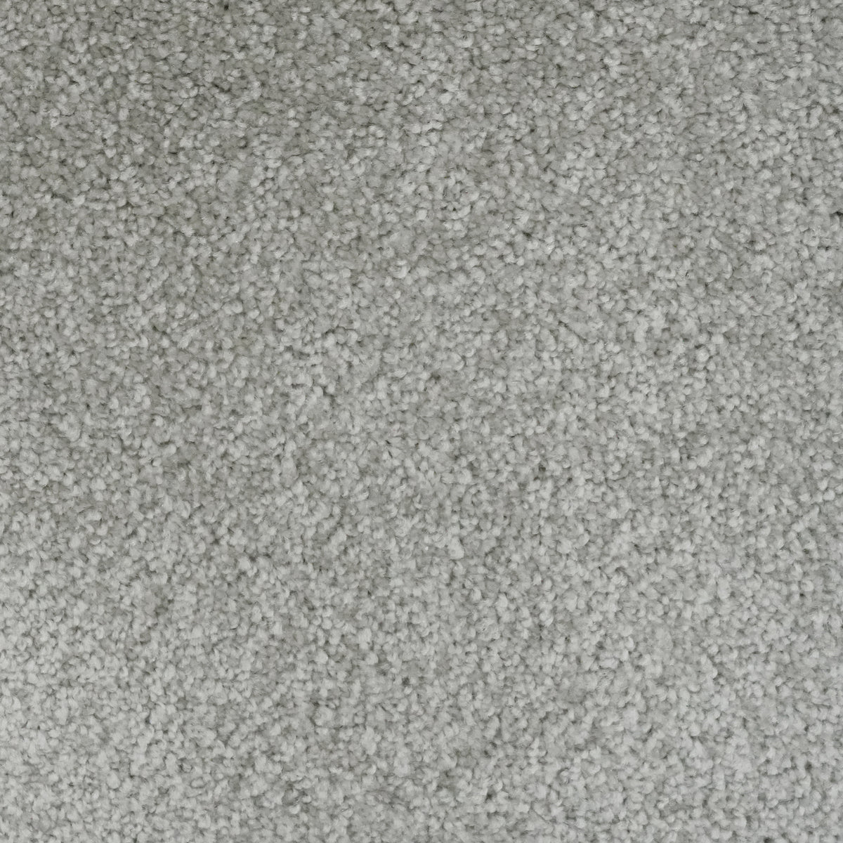 Aries Silver 798 Carpet