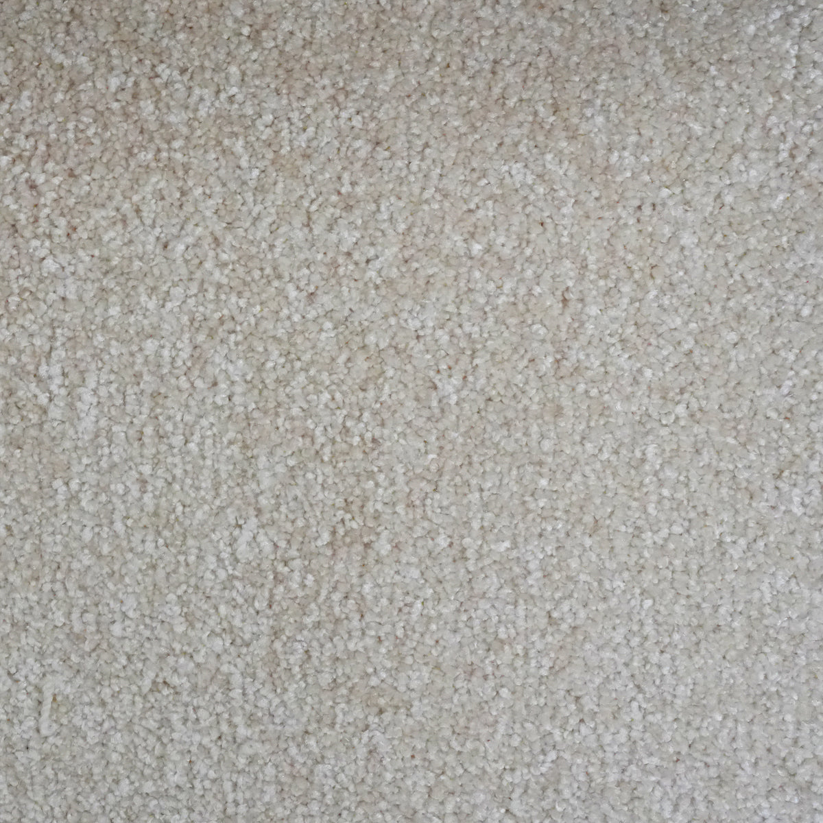 Attraction Cotton 3055 Carpet