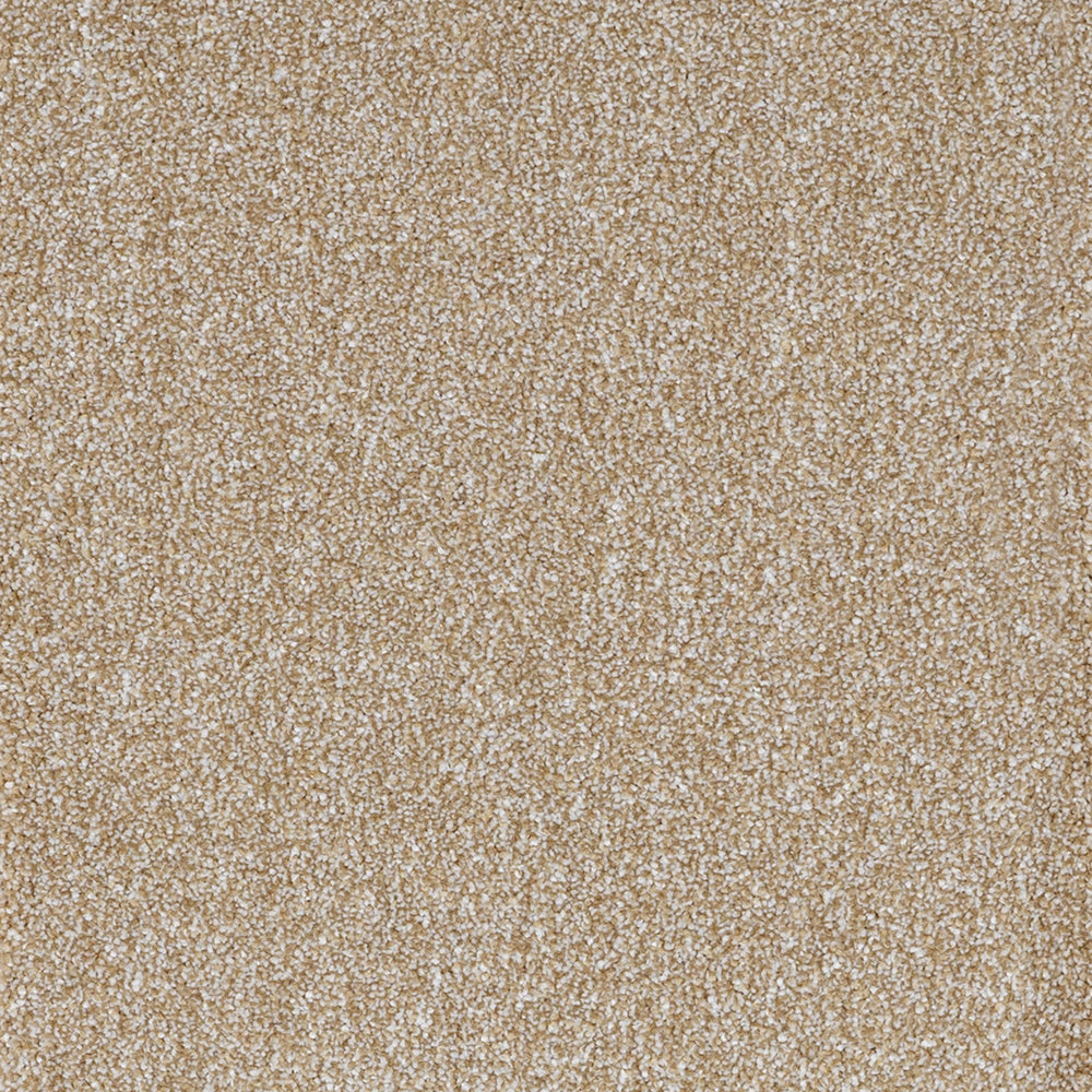 Highgrove Supreme Forest Sand 38 Carpet
