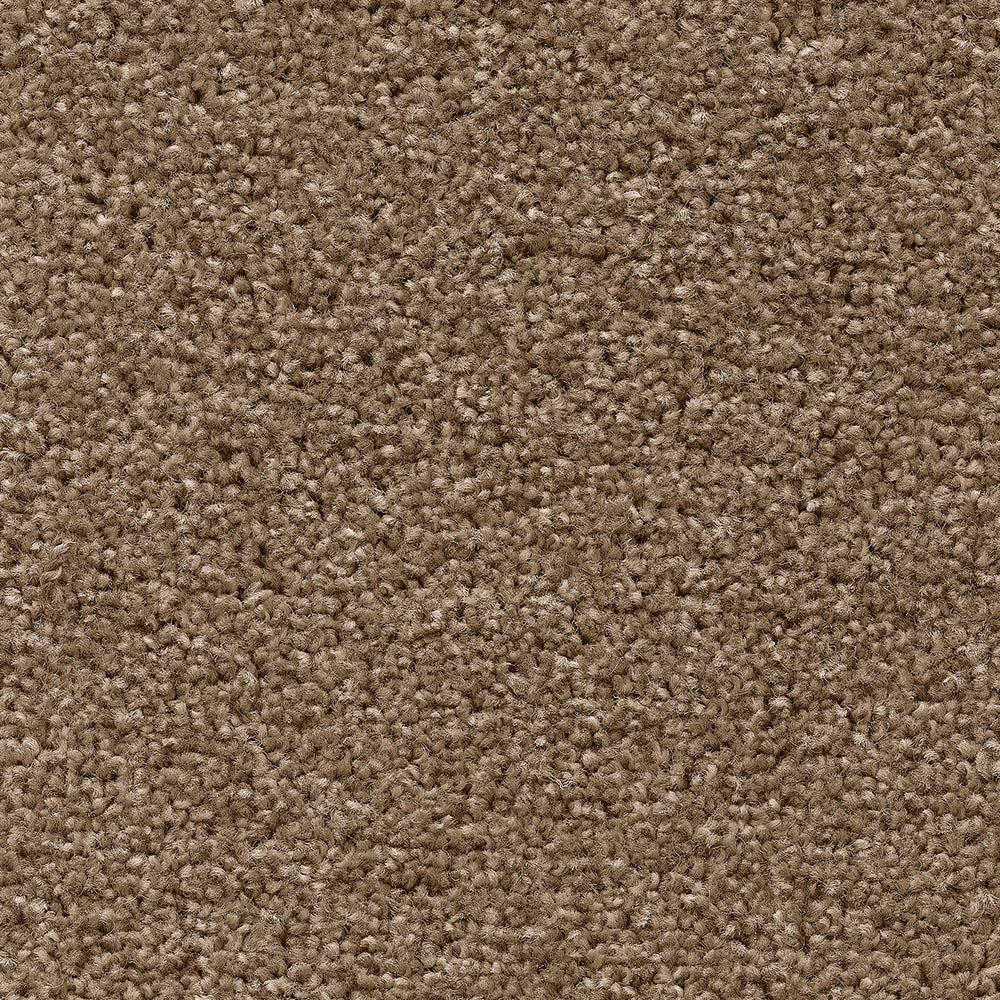Temptation Reed Beige 34 Carpet