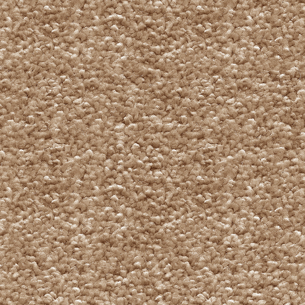 Orion Sandy Beach 32 Carpet