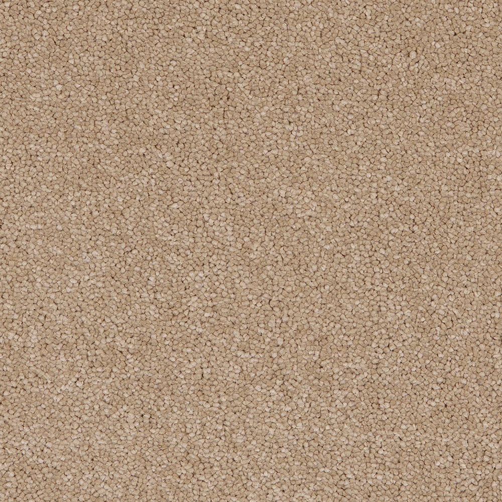 Taurus Sandstone 37 Carpet