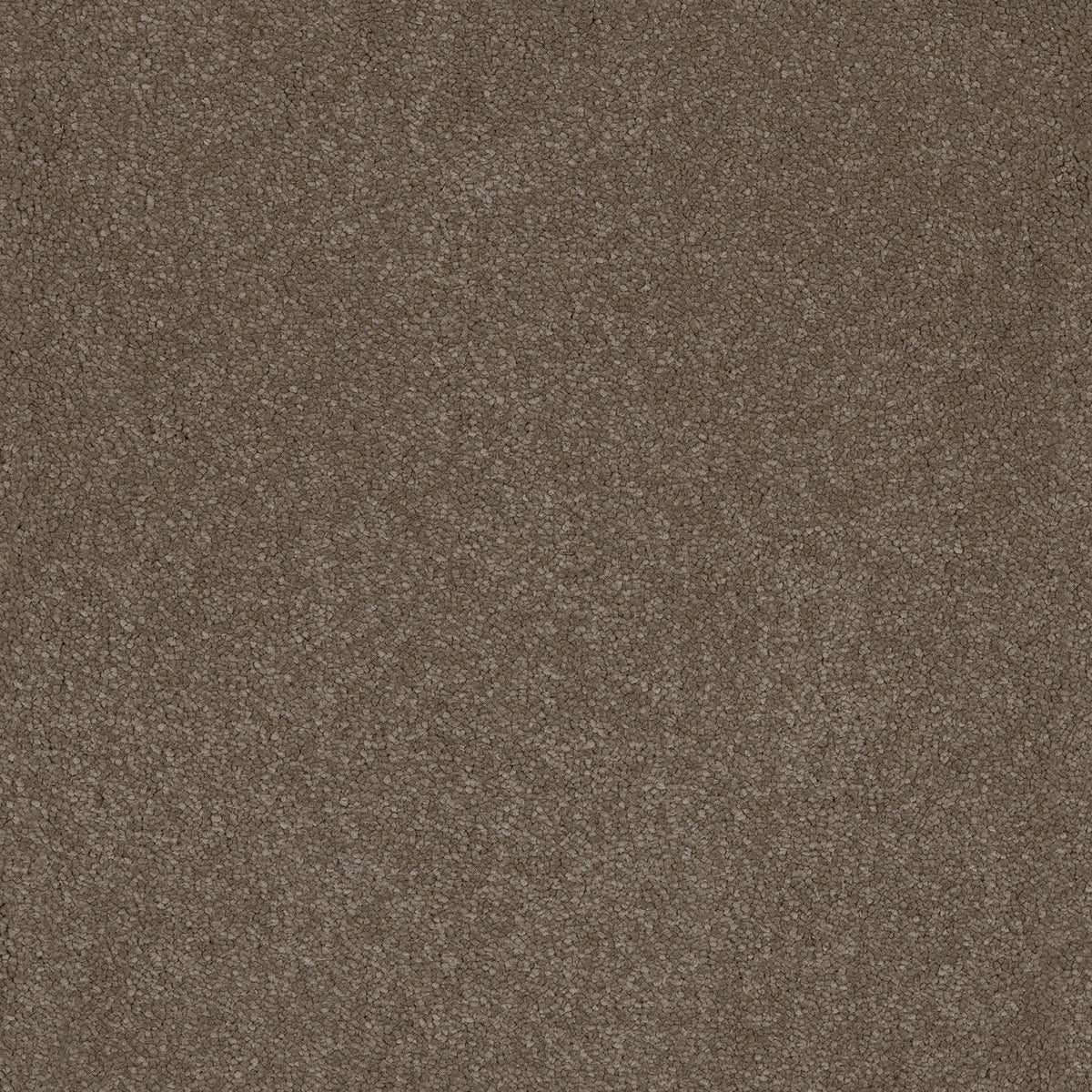 Aquarius Moleskin 40 Carpet