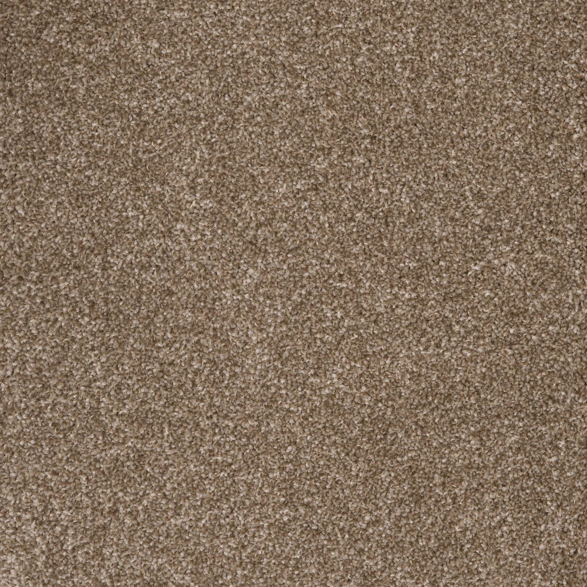 Harrogate Biscuit 38 Carpet