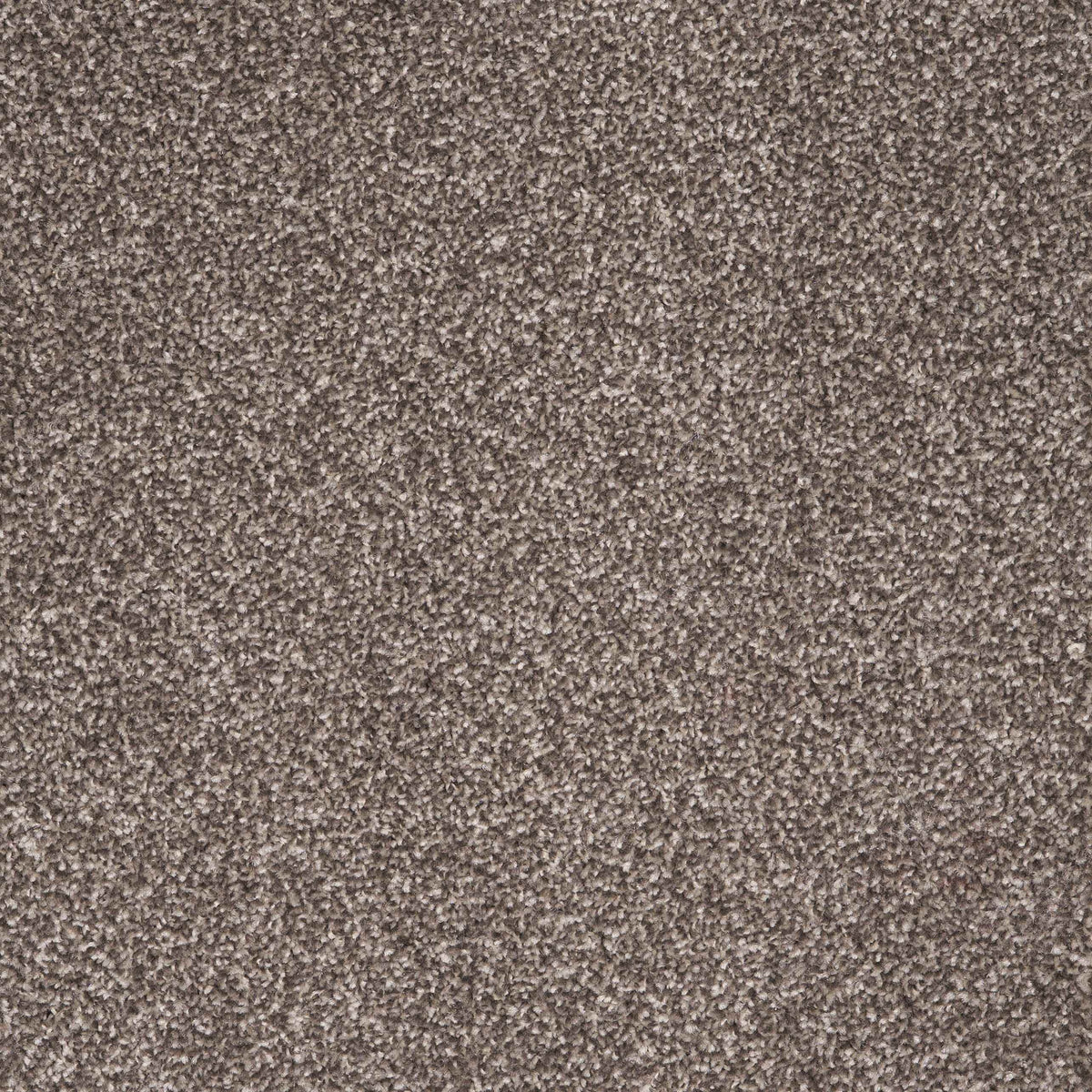 Viva Iced Coffee 40 Carpet