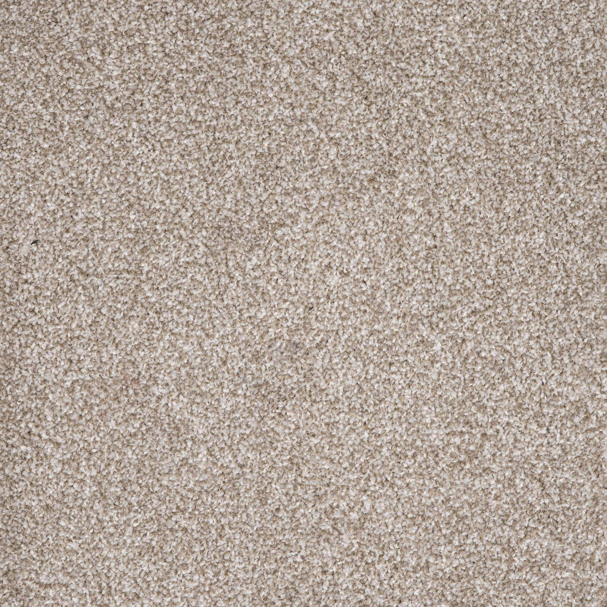 Viva Desert 52 Carpet