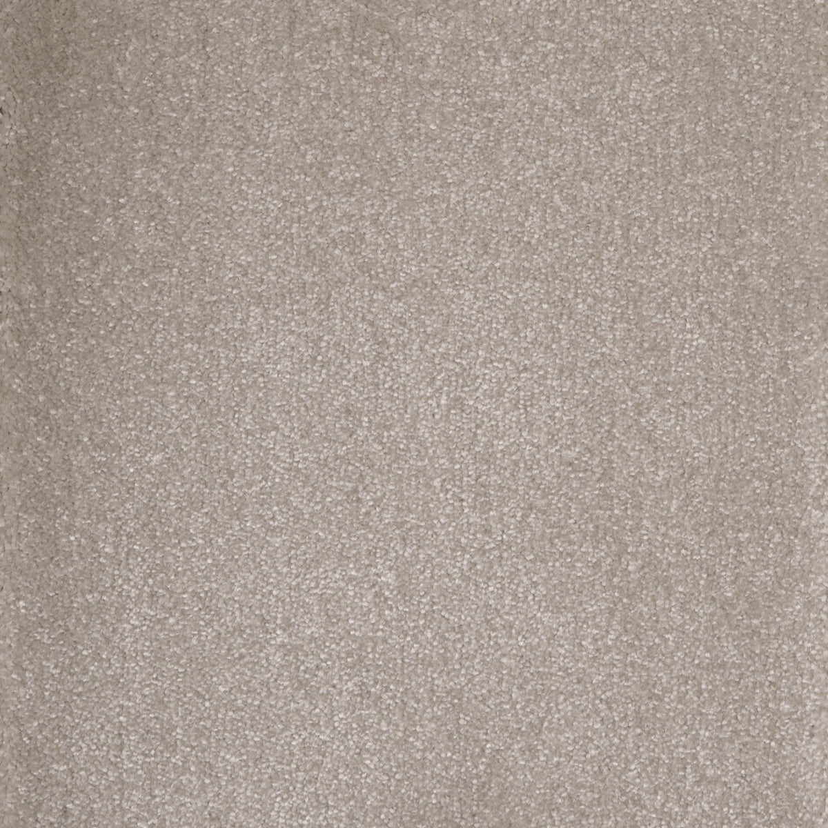 Castor Vanilla 09 Carpet