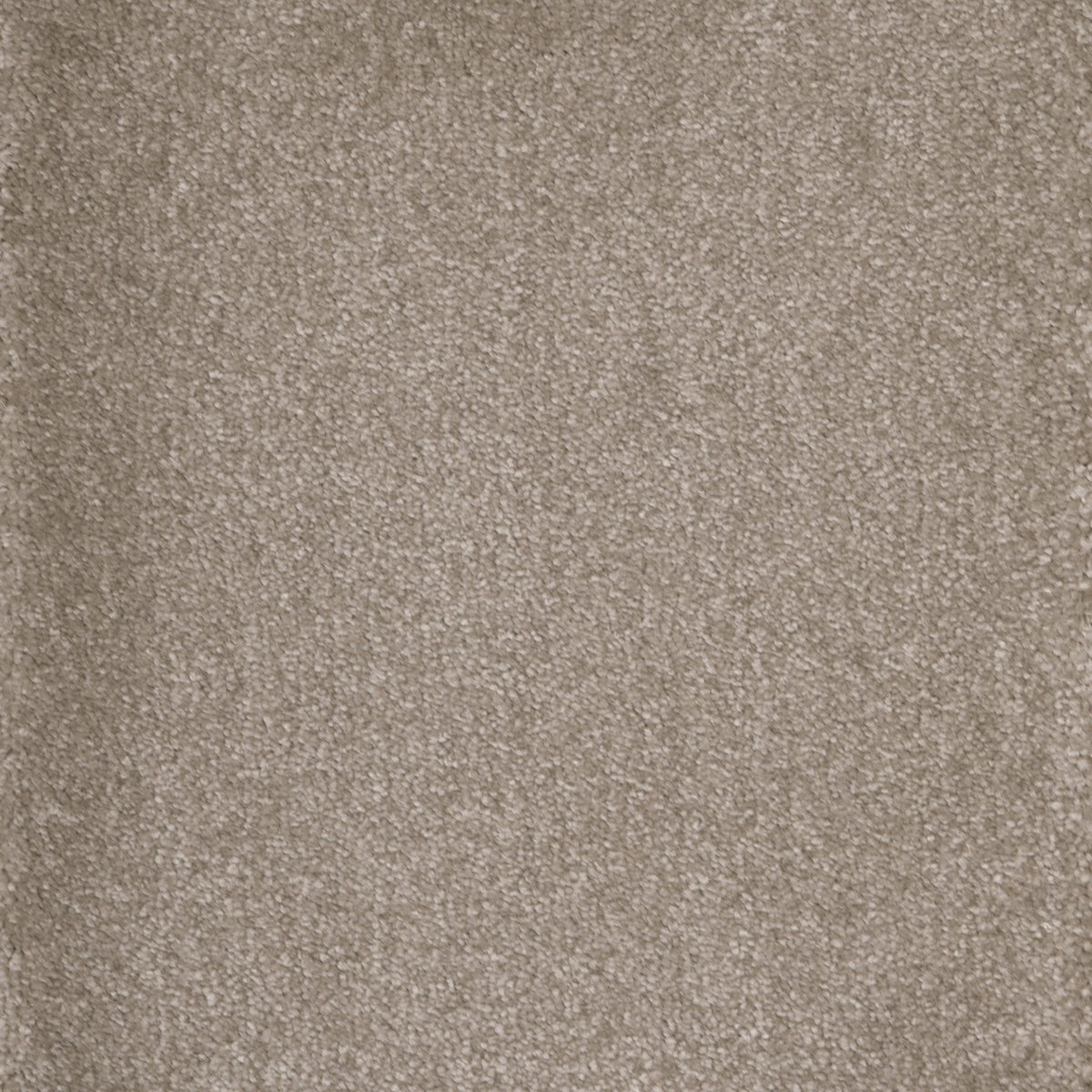 Castor Rabbits Foot 33 Carpet
