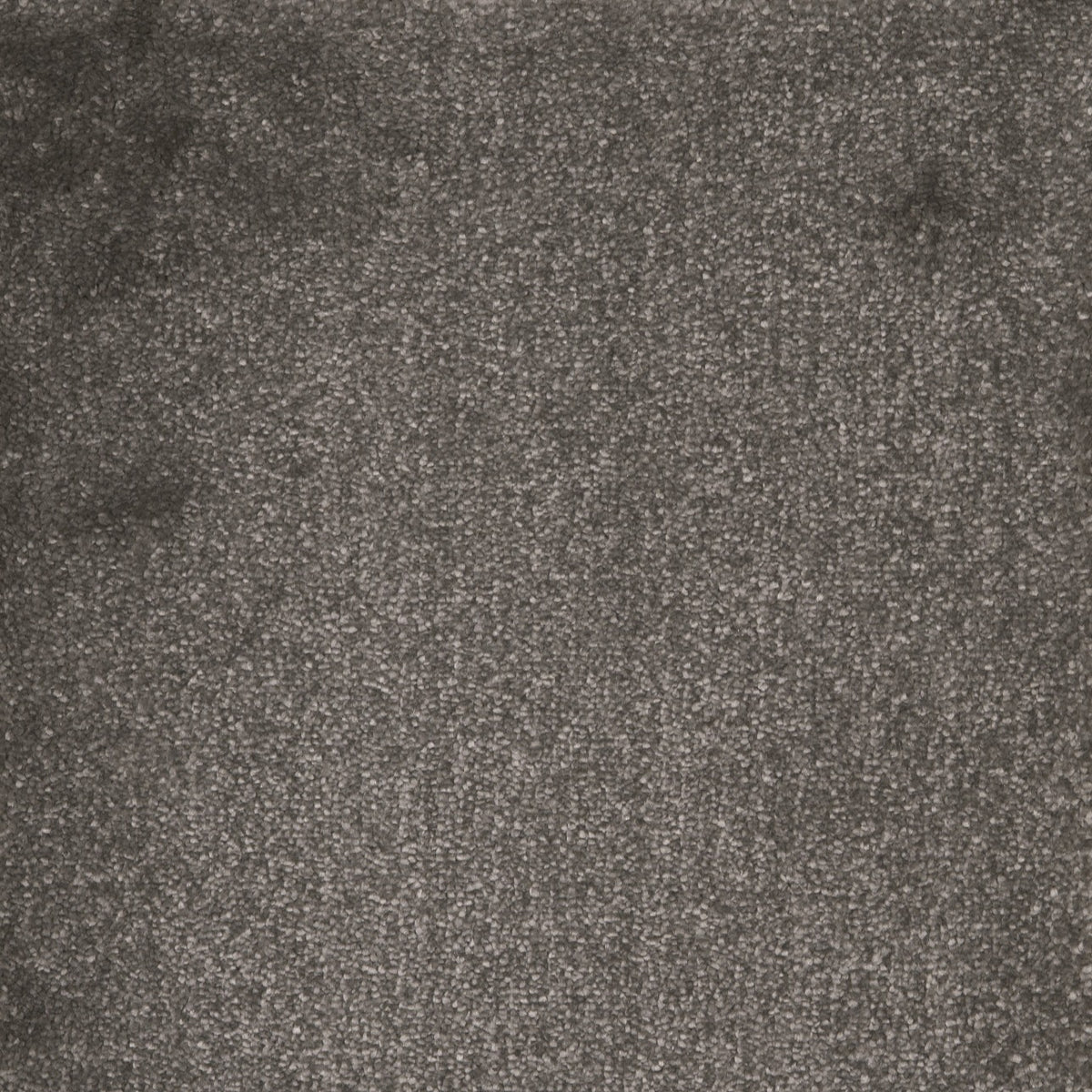 Castor Carriage Wheel 97 Carpet