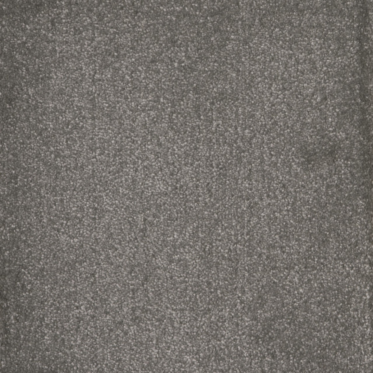 Canopus Rock Salt 95 Carpet
