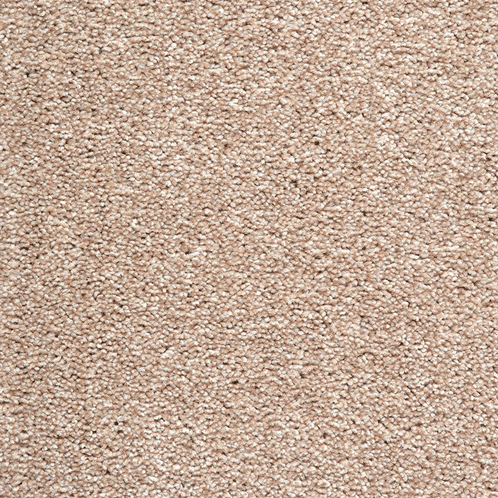 Splendid Saxony AB 680 Carpet