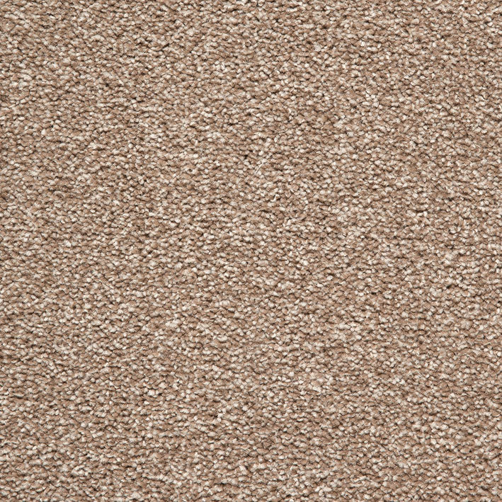 Splendid Saxony AB 785 Carpet