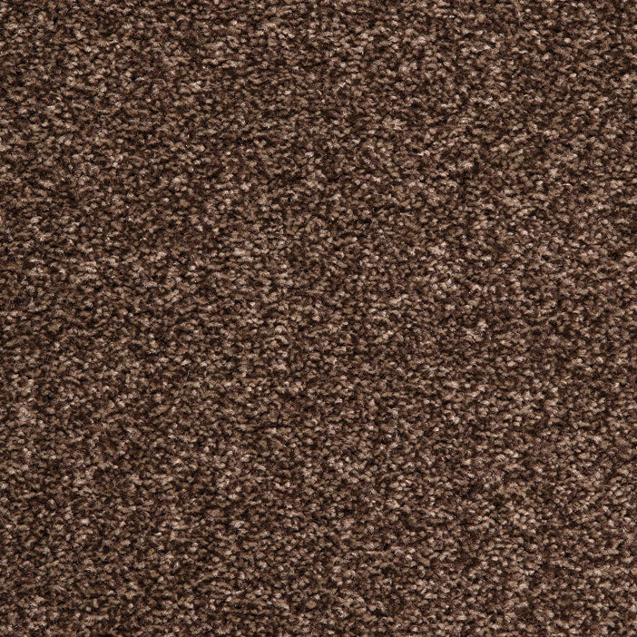 Splendid Saxony AB 880 Carpet