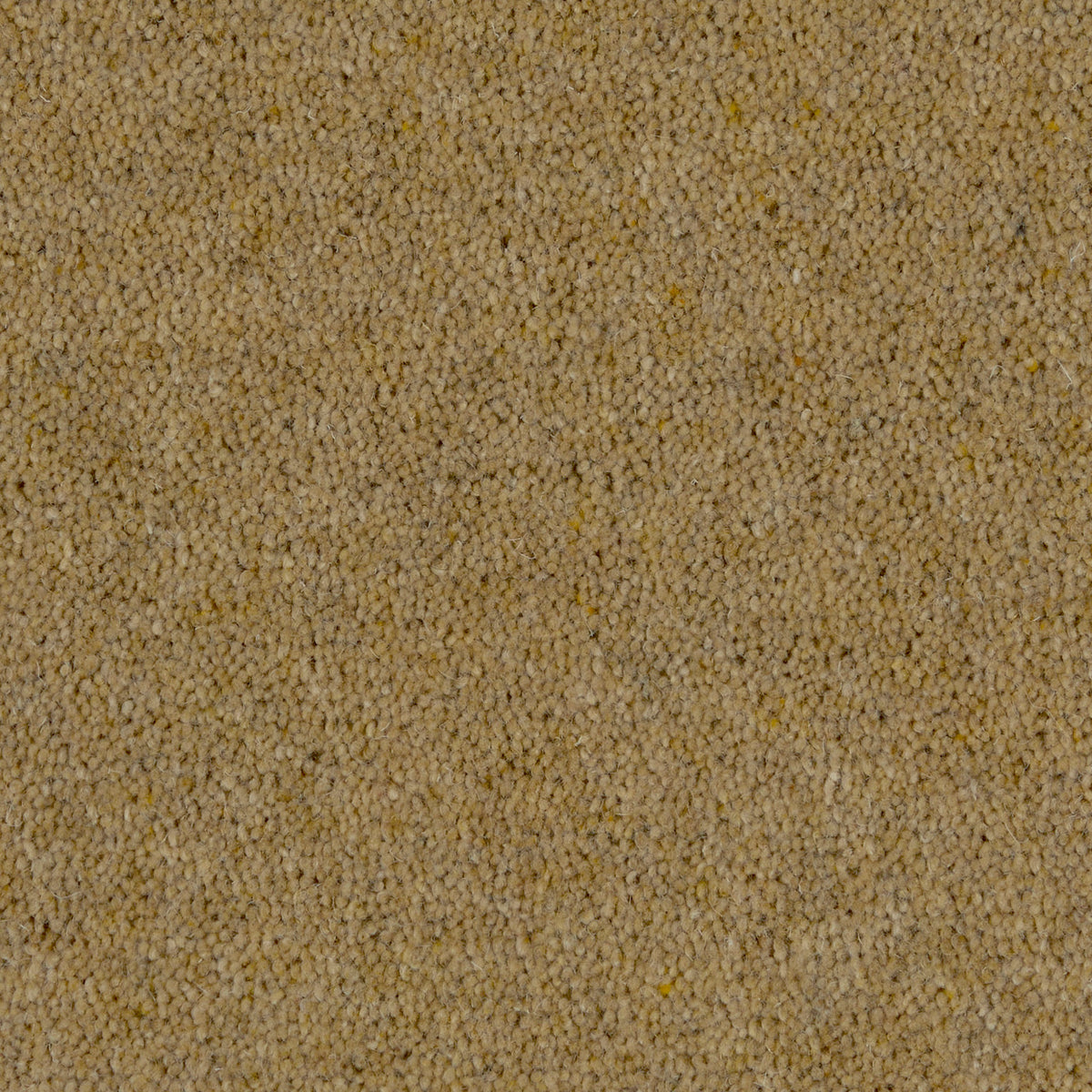 Prestige Twist 50 Sunny Day 240 Carpet