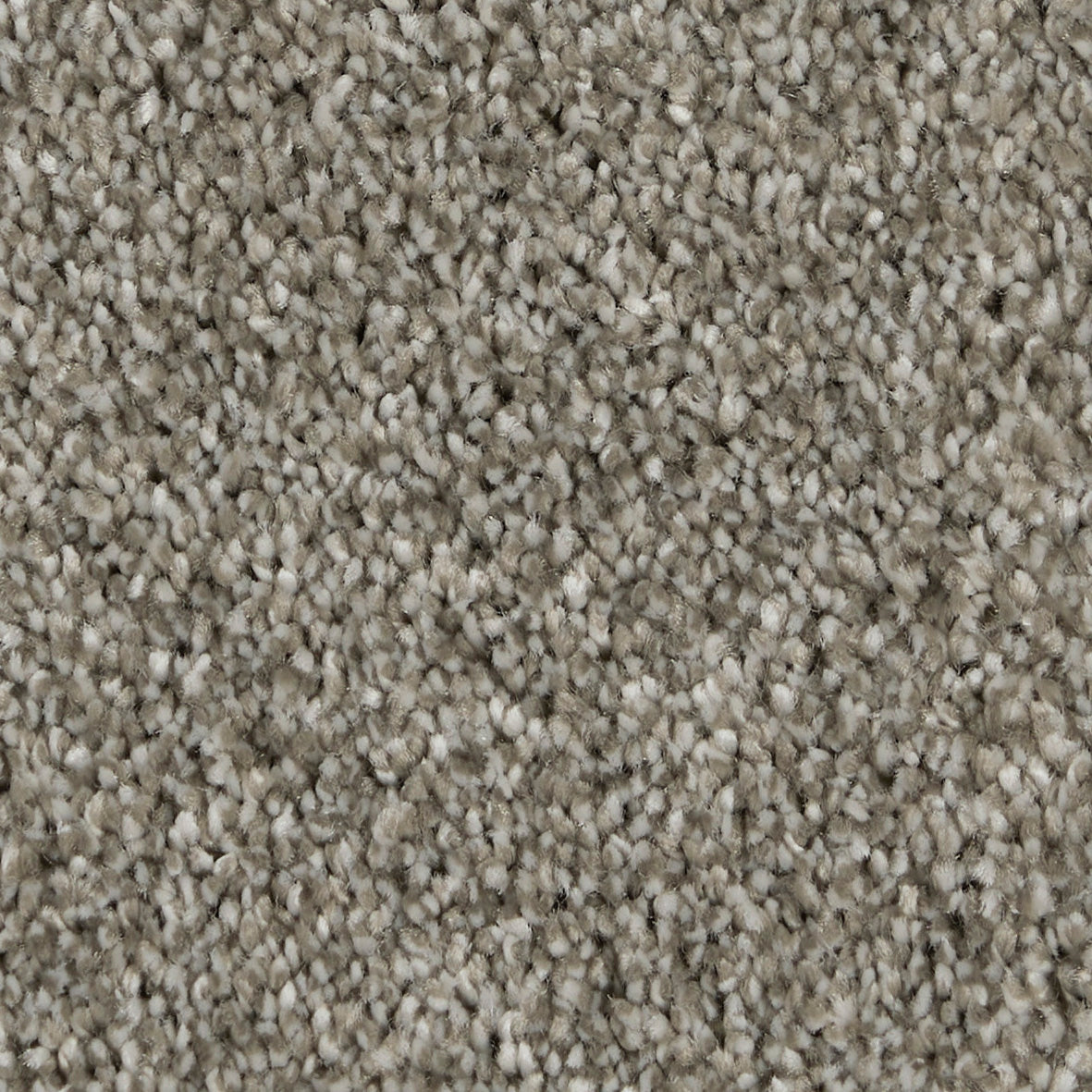 Gambit Metallic Mist 920 Carpet