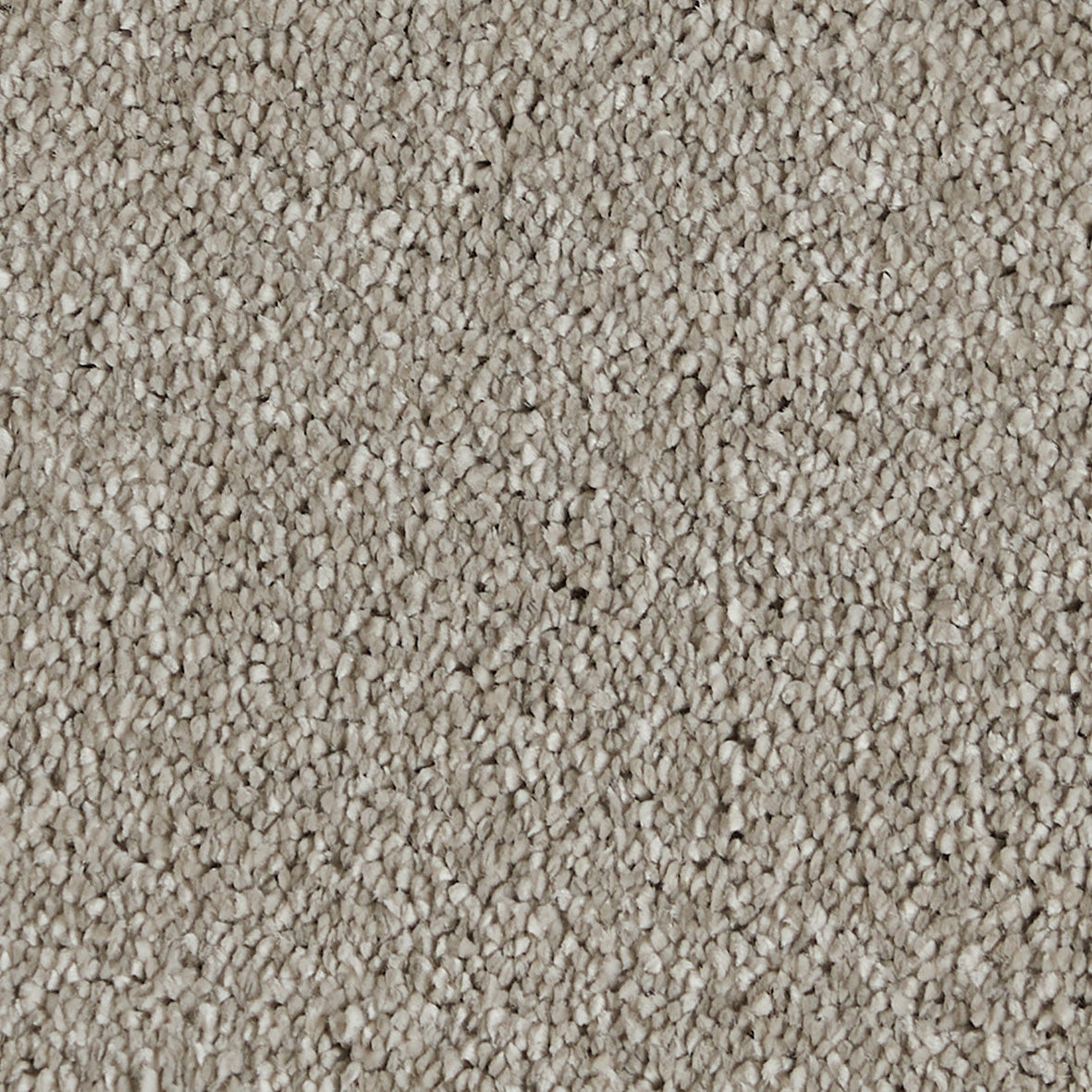 Sublime Greige 720 Carpet