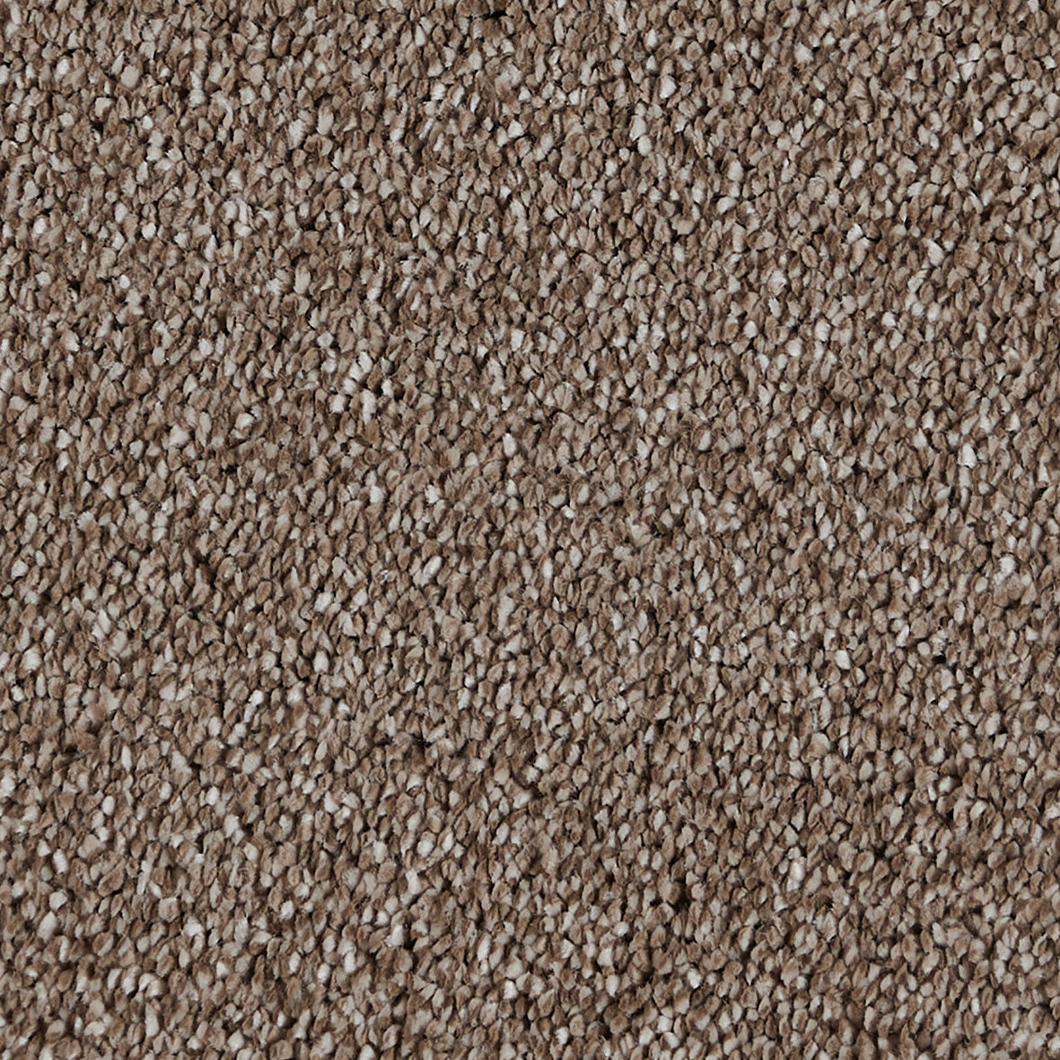 Sublime Horse Farm 800 Carpet