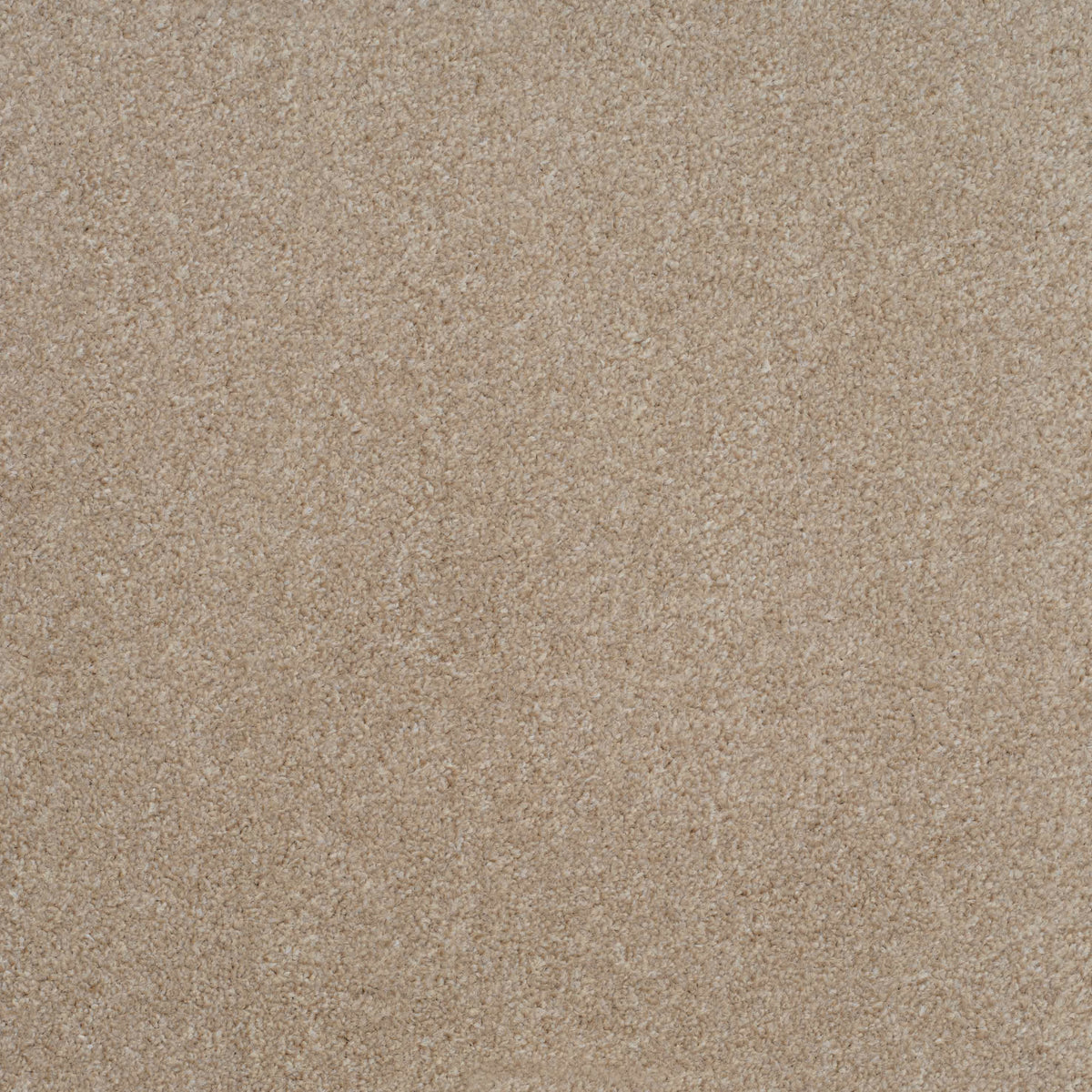 Shepherd Twist 2025 Rope 650 Carpet