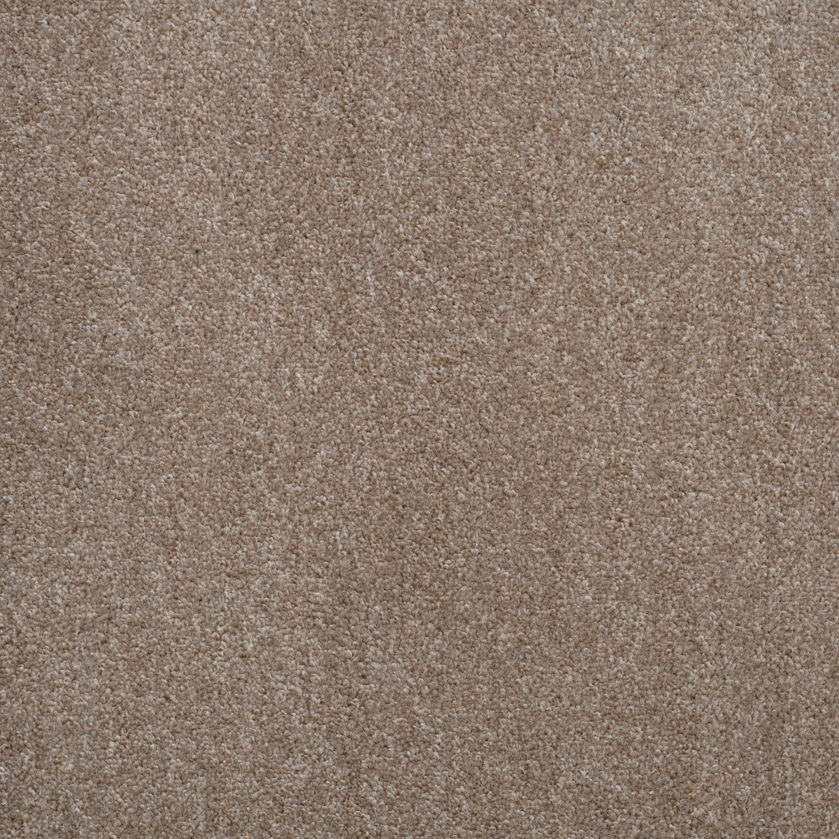 Shepherd Twist 2025 Sandstone 740 Carpet