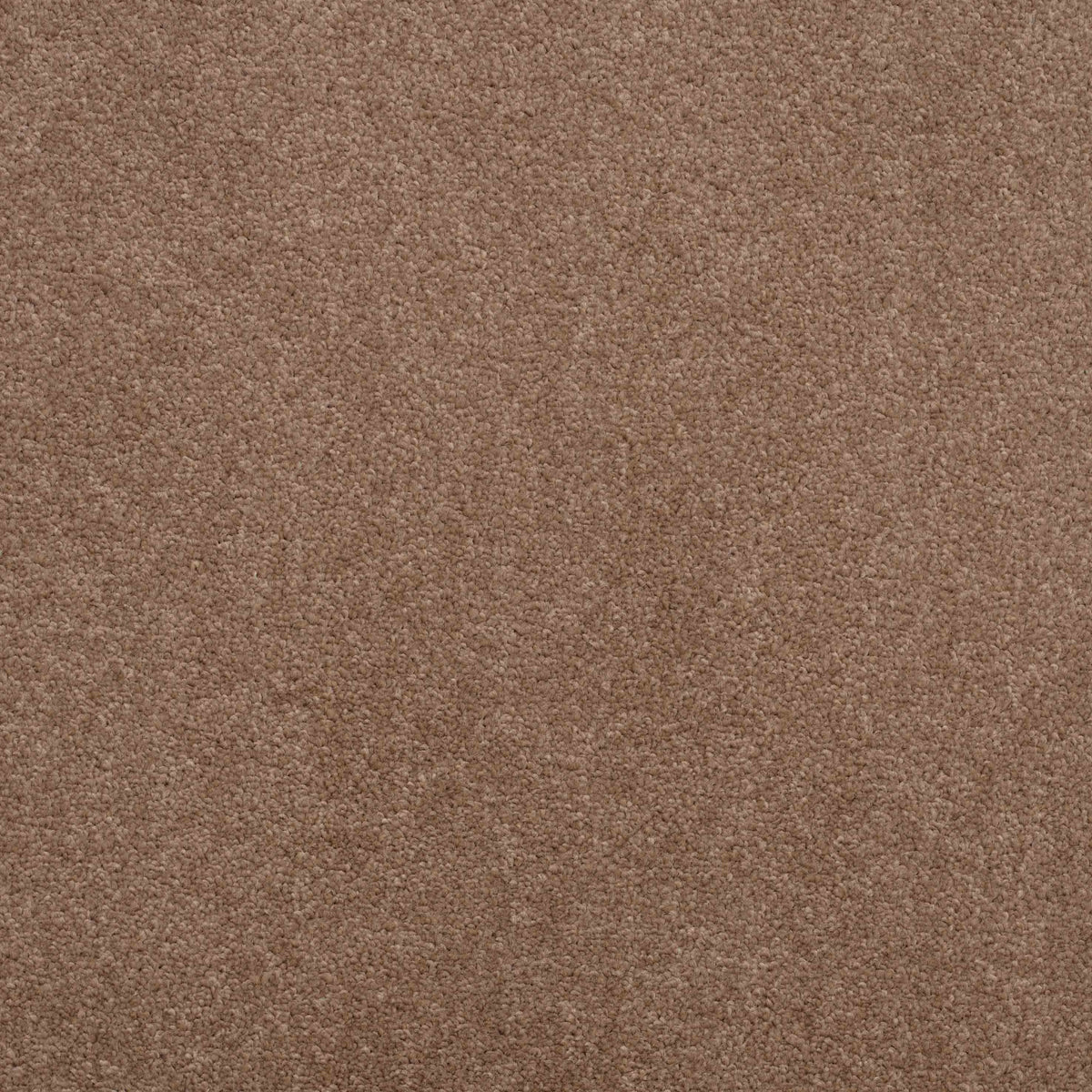 Shepherd Twist 2025 Almond 810 Carpet