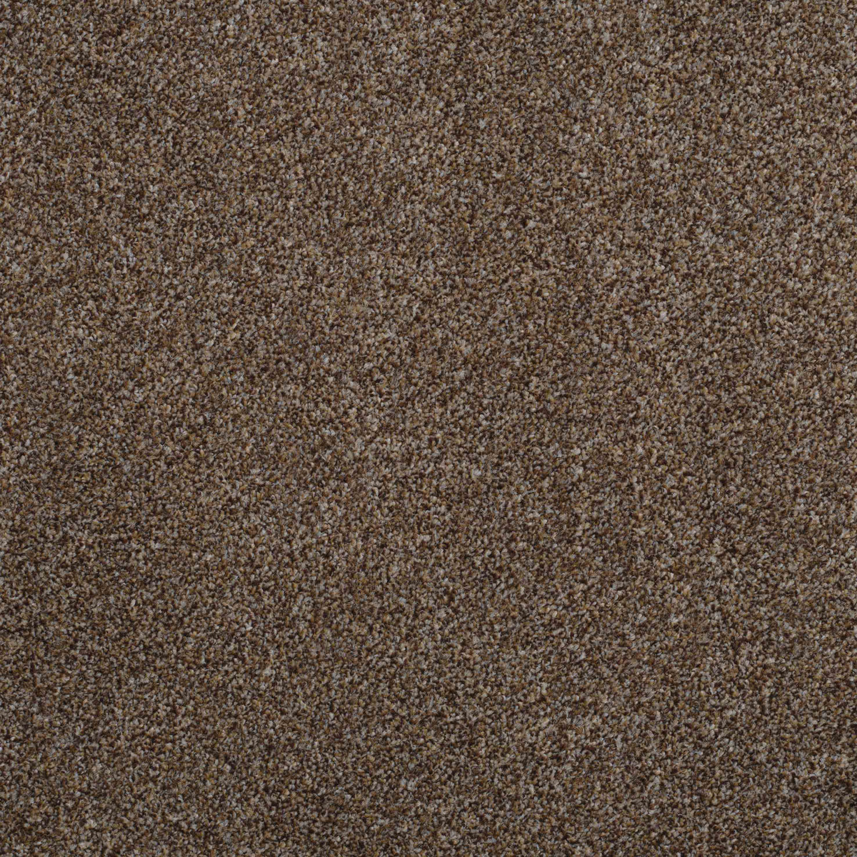 Shepherd Twist 2025 Pinecone 830 Carpet