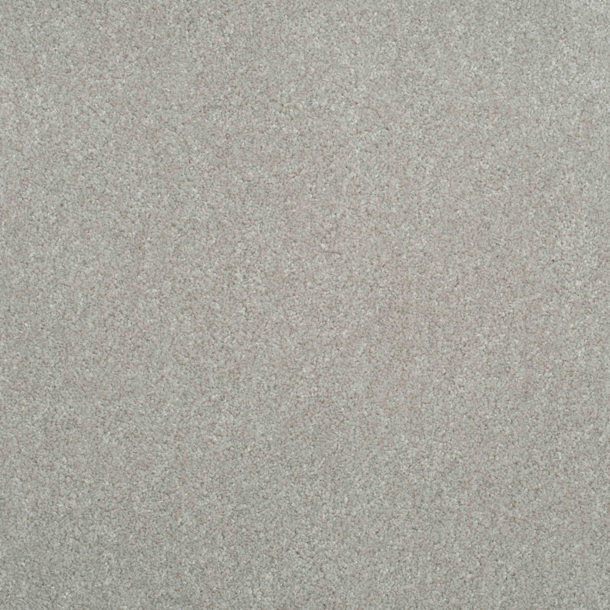 Shepherd Twist 2025 Clay 905 Carpet