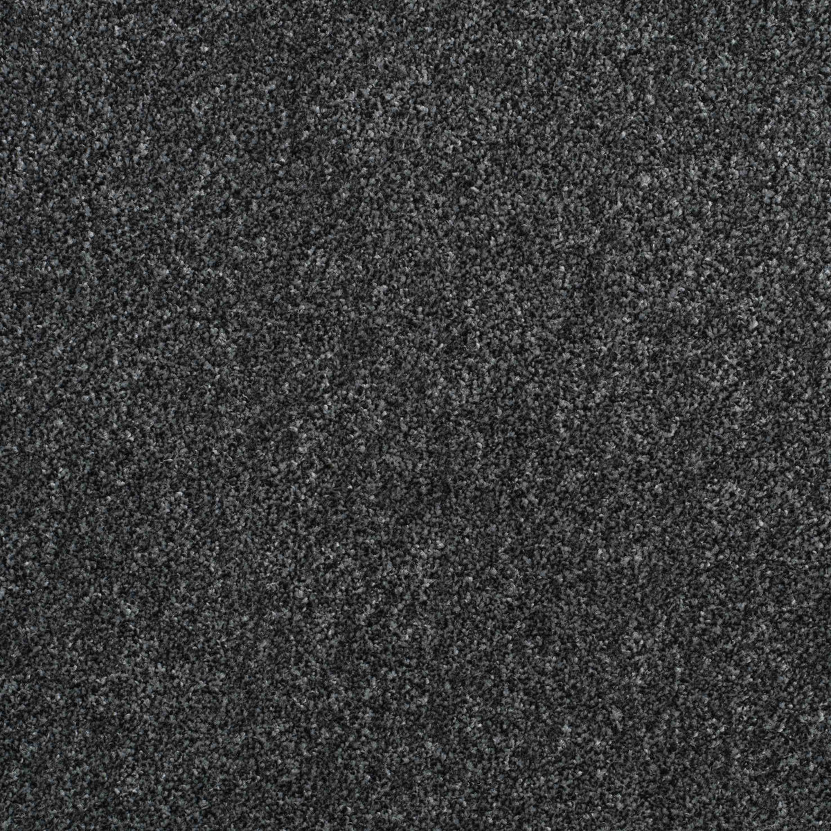 Shepherd Twist 2025 Anthracite 970 Carpet