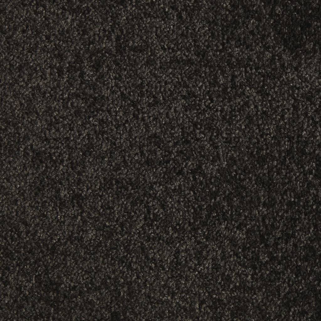 Wensleydale AB Steel Carpet
