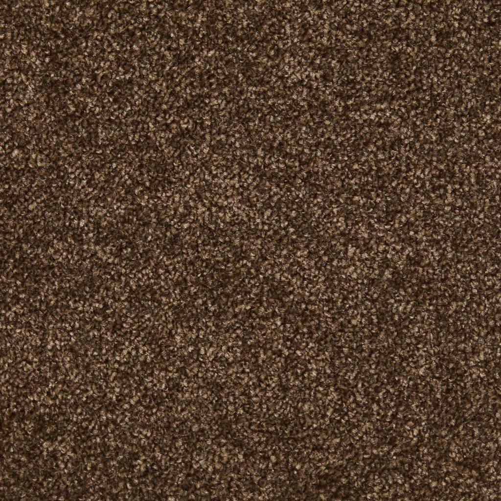 Wensleydale AB Walnut Carpet