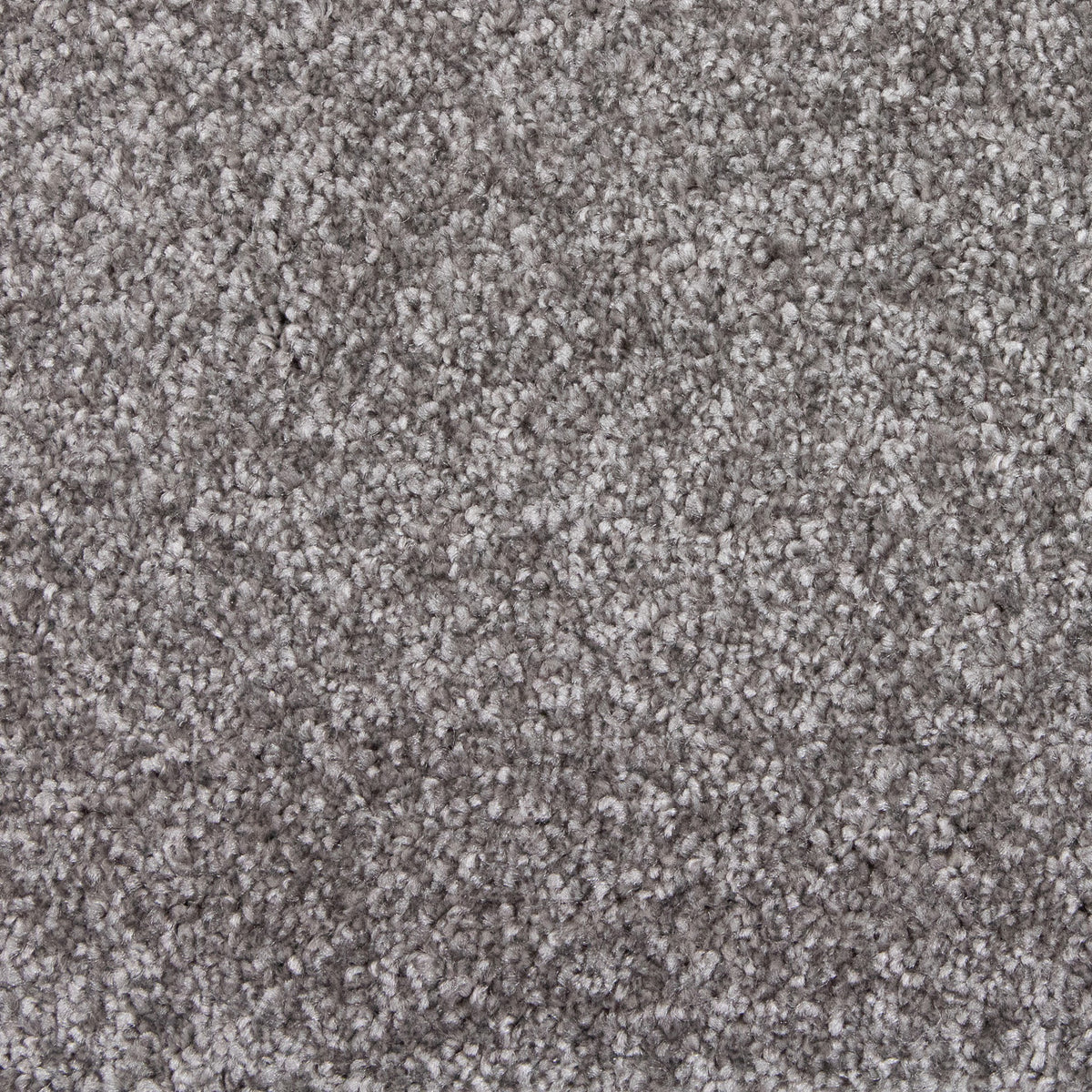 Bellagio Elite Silver 75 Carpet