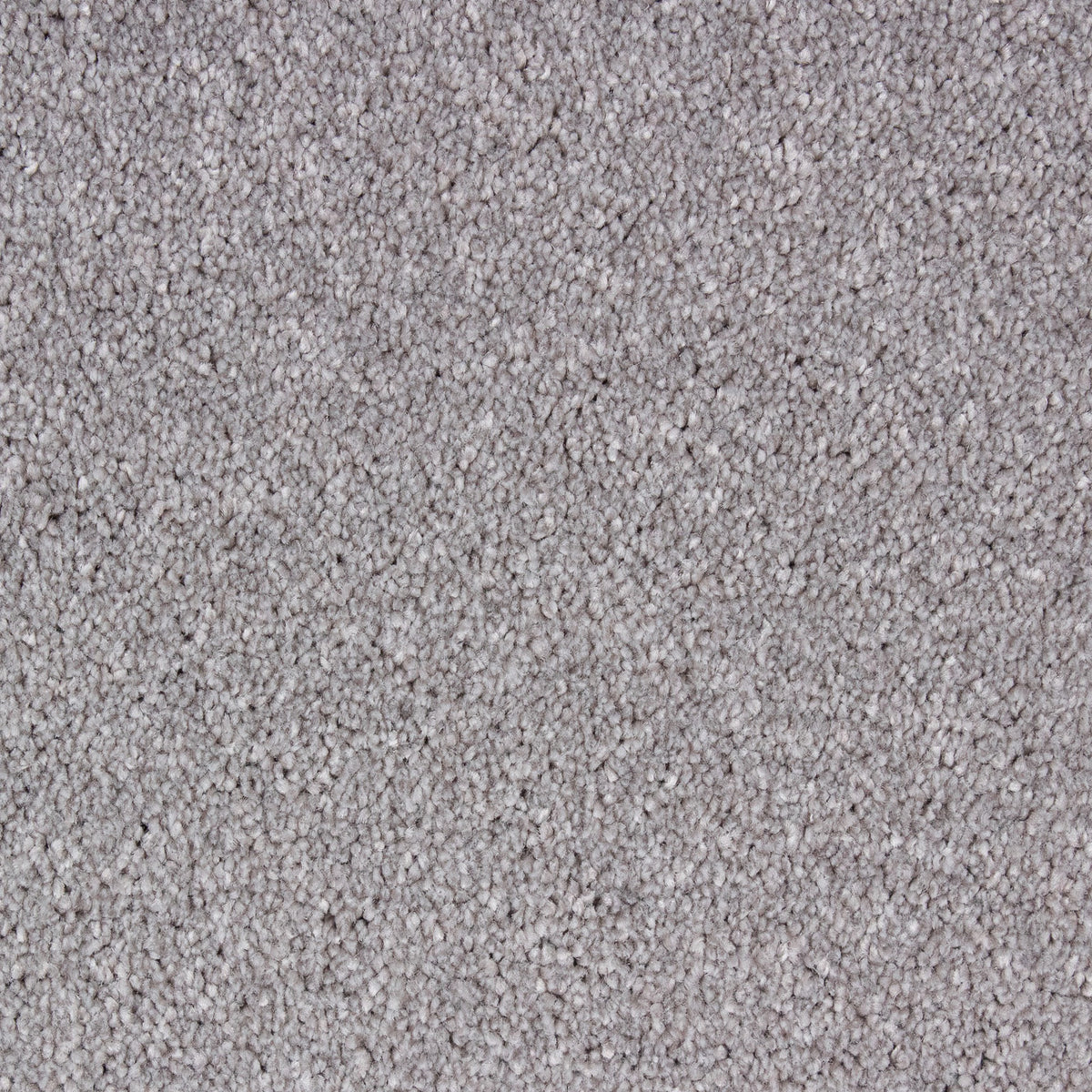 Bellagio Elite Cloud 73 Carpet