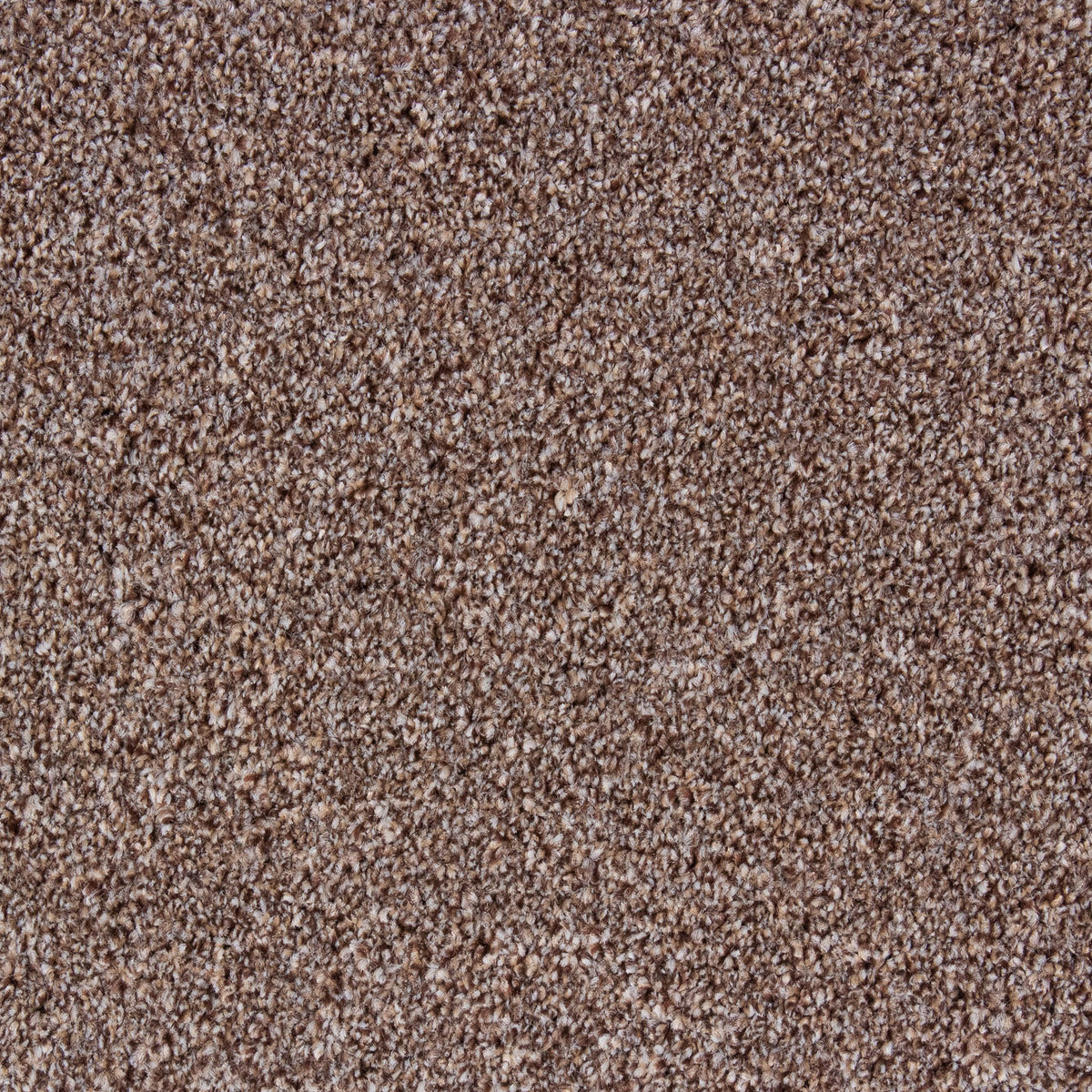 Bellagio Elite Mocha 93 Carpet
