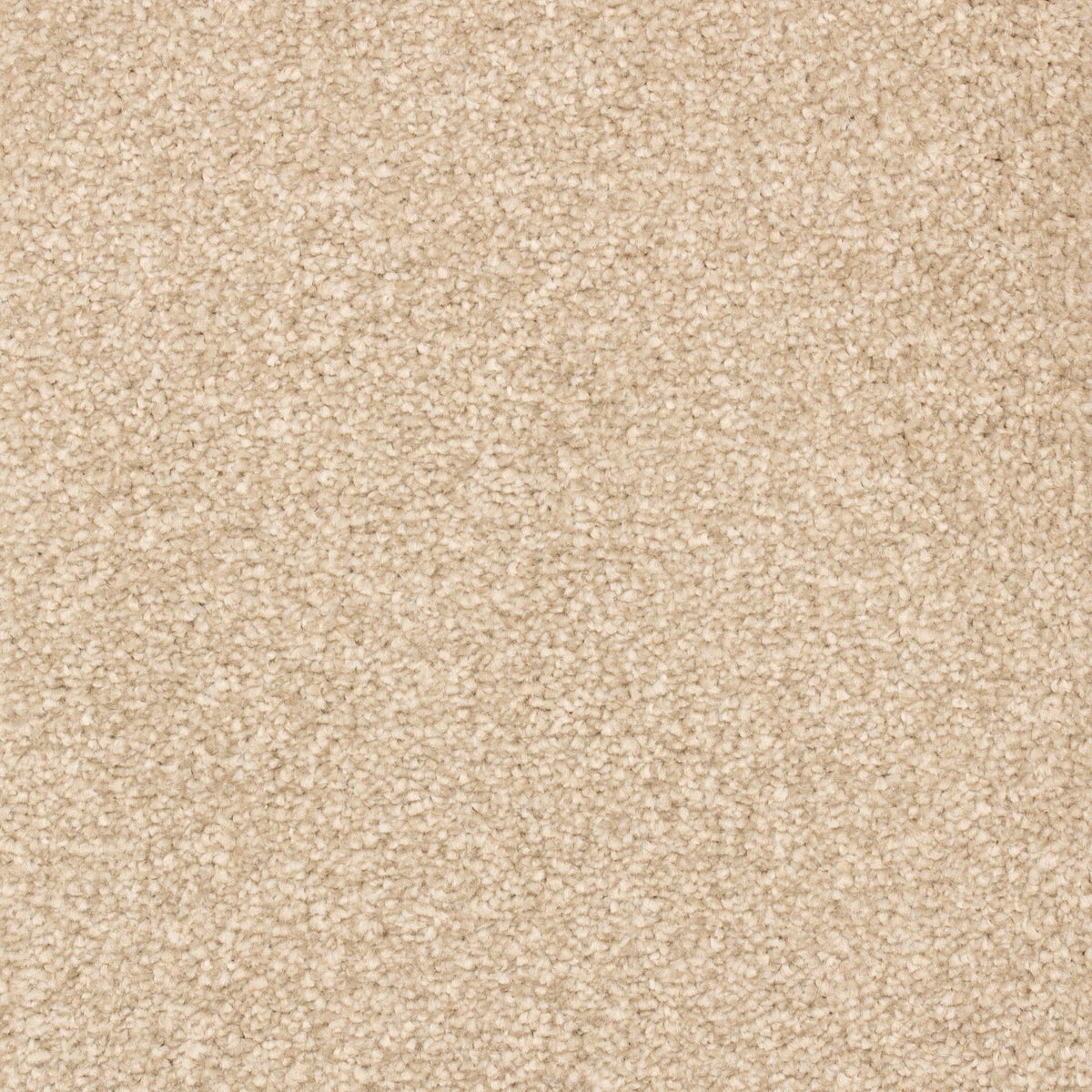Bellagio Elite Natural 120 Carpet
