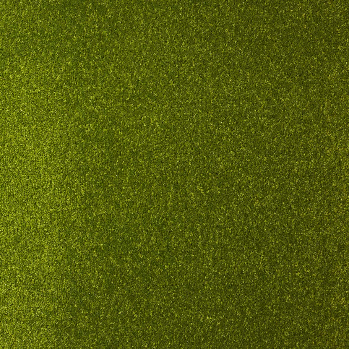 Dynasty Lime 41 Carpet