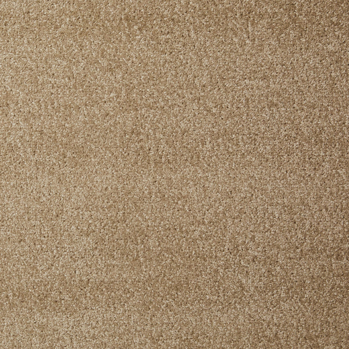 Dynasty Suede 91 Carpet