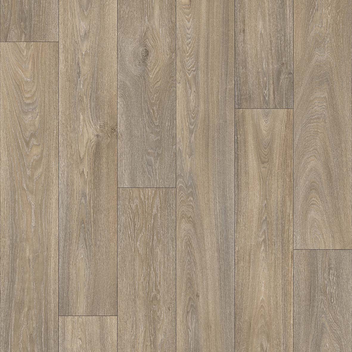 Hermes Vinyl Havanna Oak 613m Vinyl Flooring